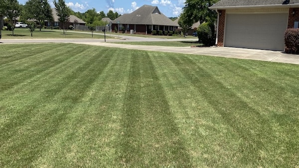 Green yard