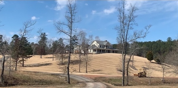Large mowed yard